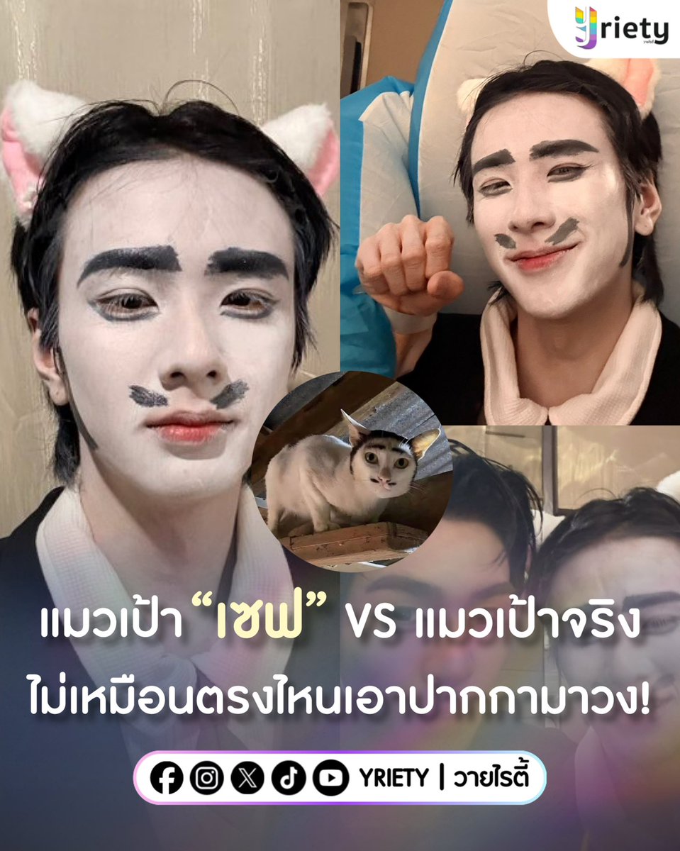 Yriety's tweet image. ต้นฉบับยังต้องยอม! แมวเป้า “เซฟ” VS แมวเป้าจริง 🐱 ไม่เหมือนตรงไหนเอาปากกามาวง! อันนี้ให้เลยอีกหนึ่งตำนานจาก #DMDNEWYEARPARTY2026 👏🏻🏆
.
ภาพจาก : savewrg
.
#savewrg #Yriety