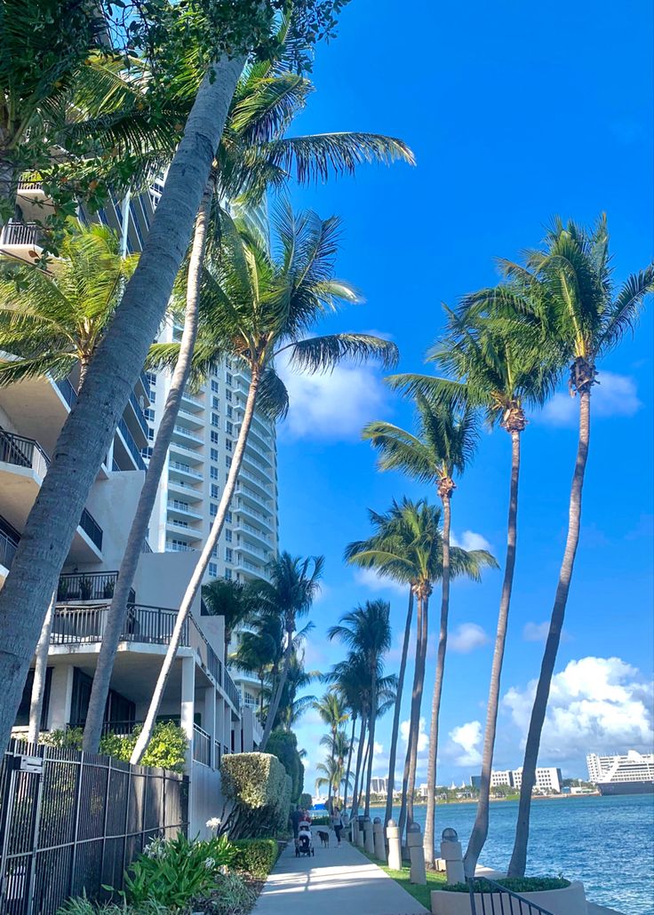 Good Afternoon 🌞

Every day is a chance to grow, learn, and make a difference. Keep shining🌺