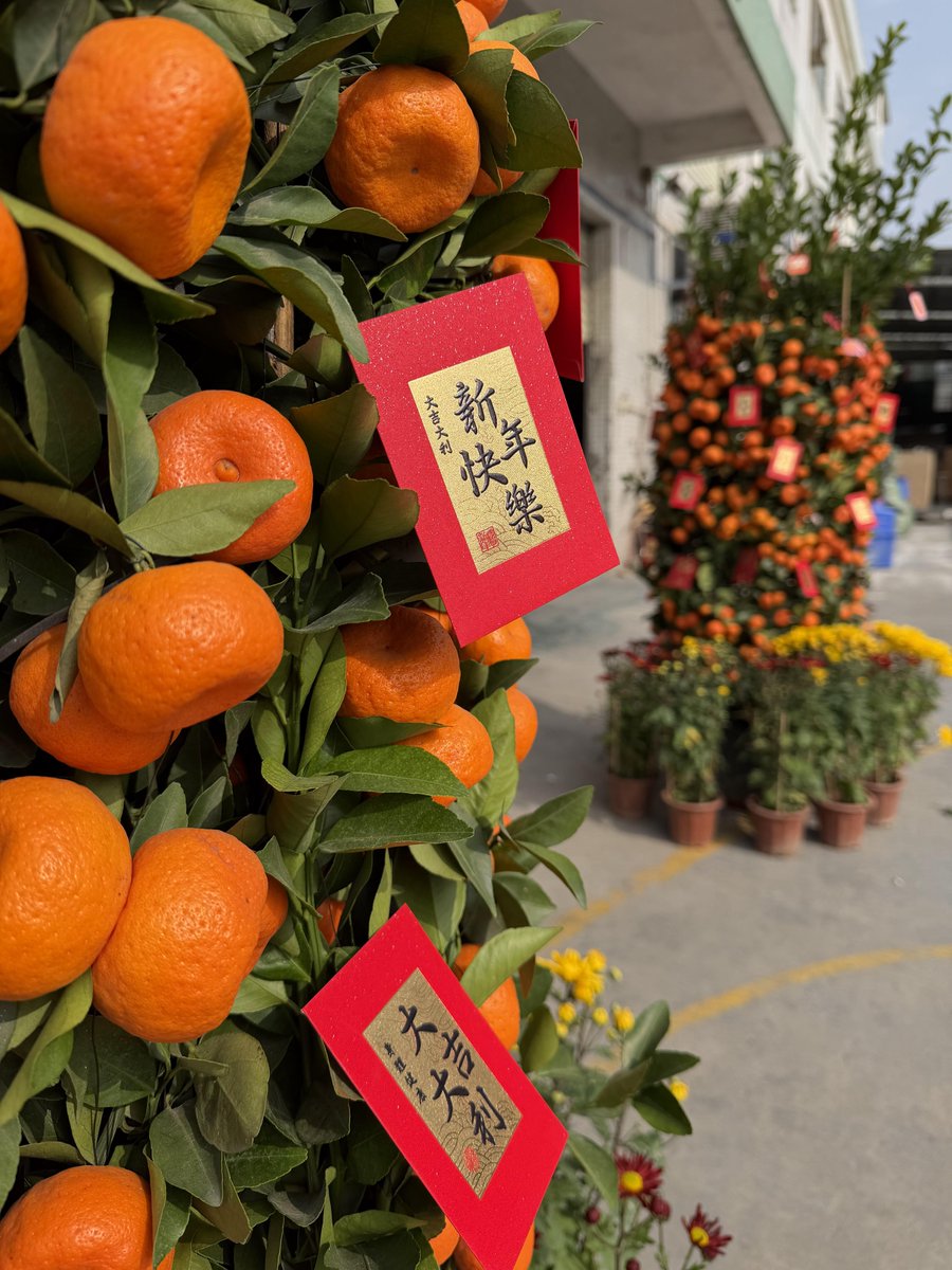 LCSignOfficial's tweet image. 🧧Celebrating Chinese New Year at LC SIGN

🌟Thank you to our partners worldwide for continued trust.

🙌Let's make 2026 better and brighter together.

#lcsign #ChineseNewYear #Signfactory #businesssign