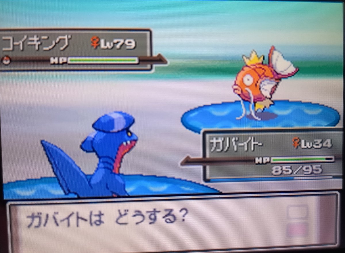 レベル79のコイキング