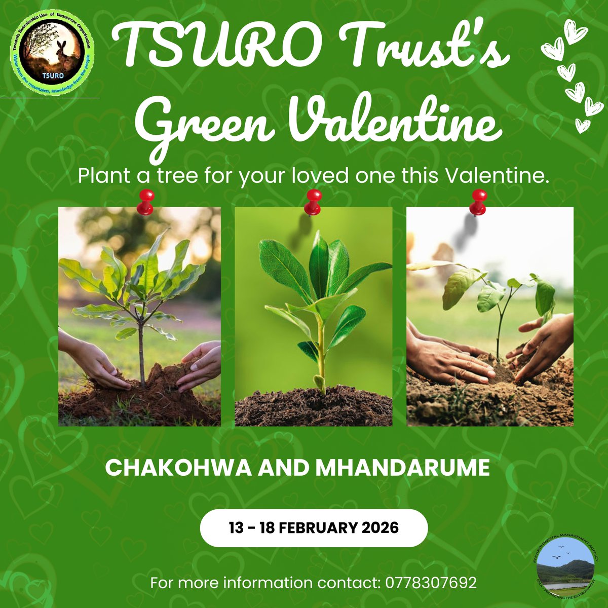 TSURO Trust tweet media