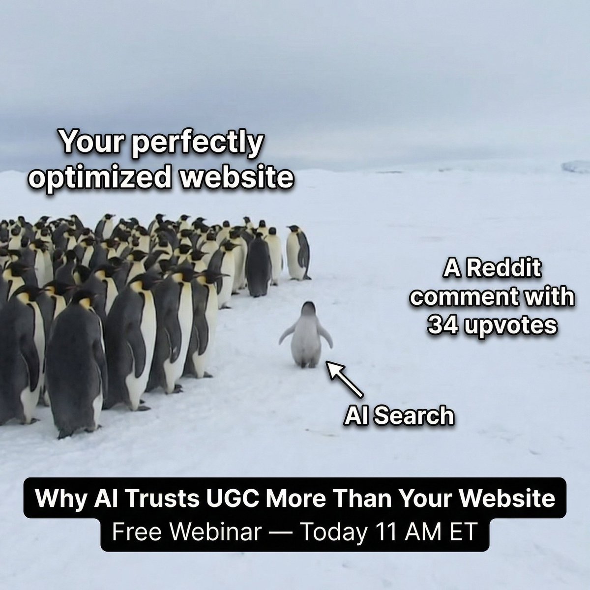 Writesonic tweet media