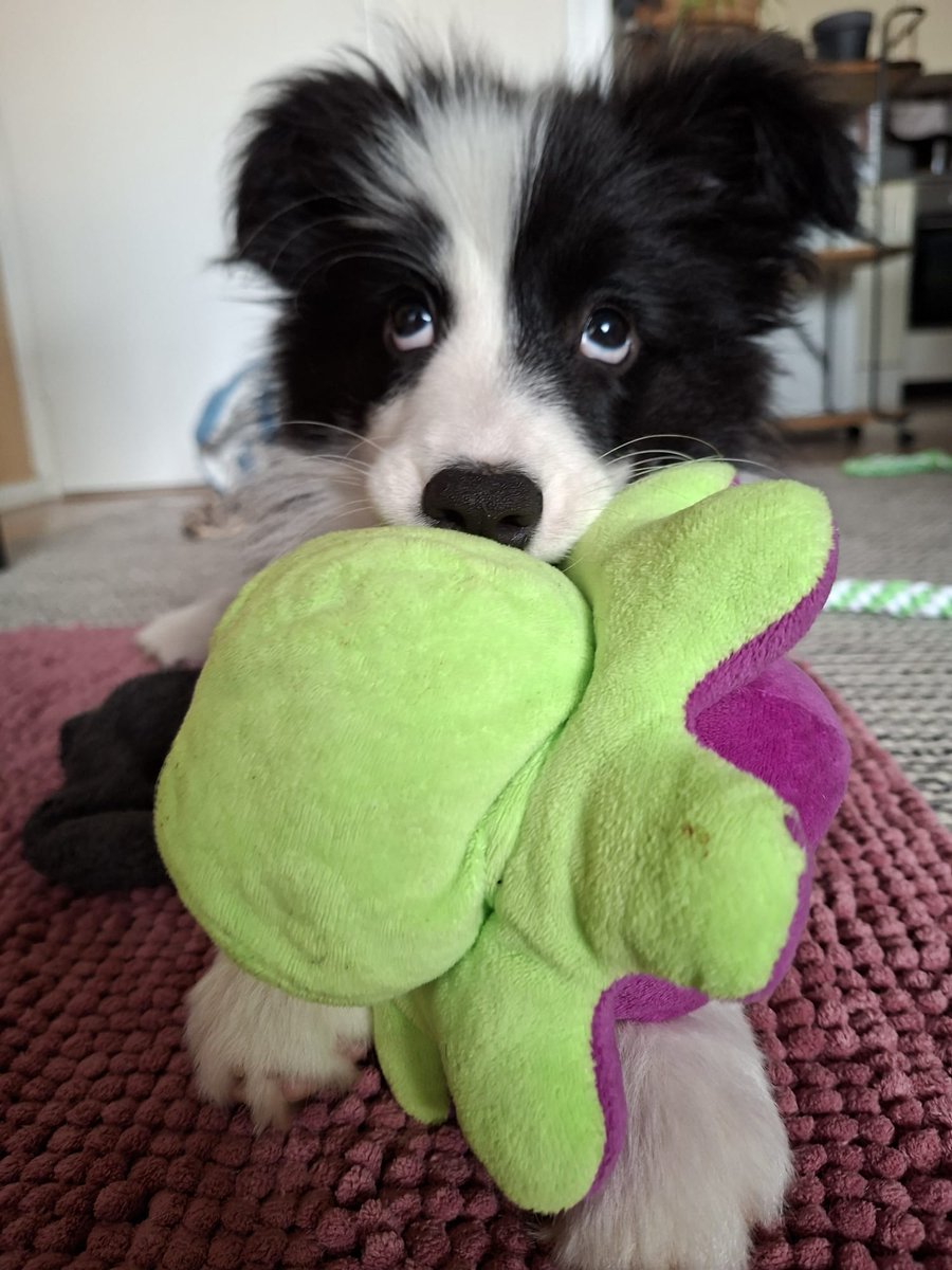 Henk.Verhoef tweet media