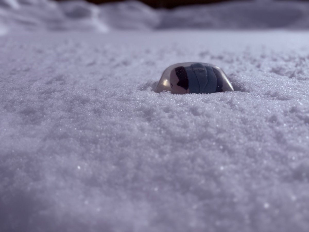 森江🌳東7I28a tweet media