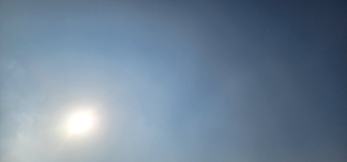 なんか卒論発表終わった瞬間から一気に春きたような感じする。