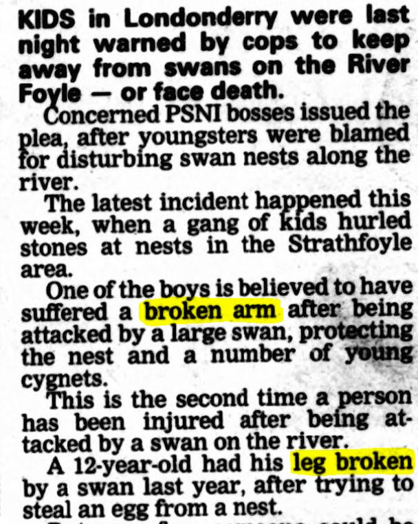 Håkon Fløystad tweet media