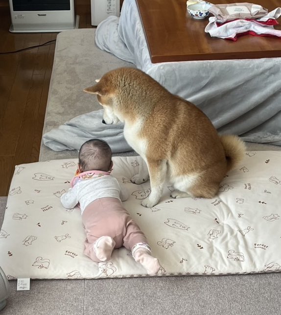 寝返りできた👶が心配でたまらない