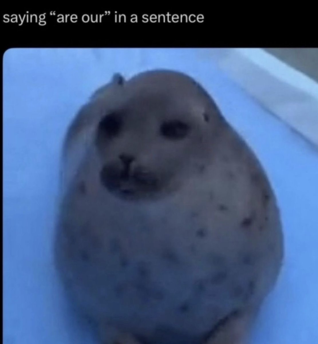 Respectful Memes (@respectfulmemes) on Twitter photo 