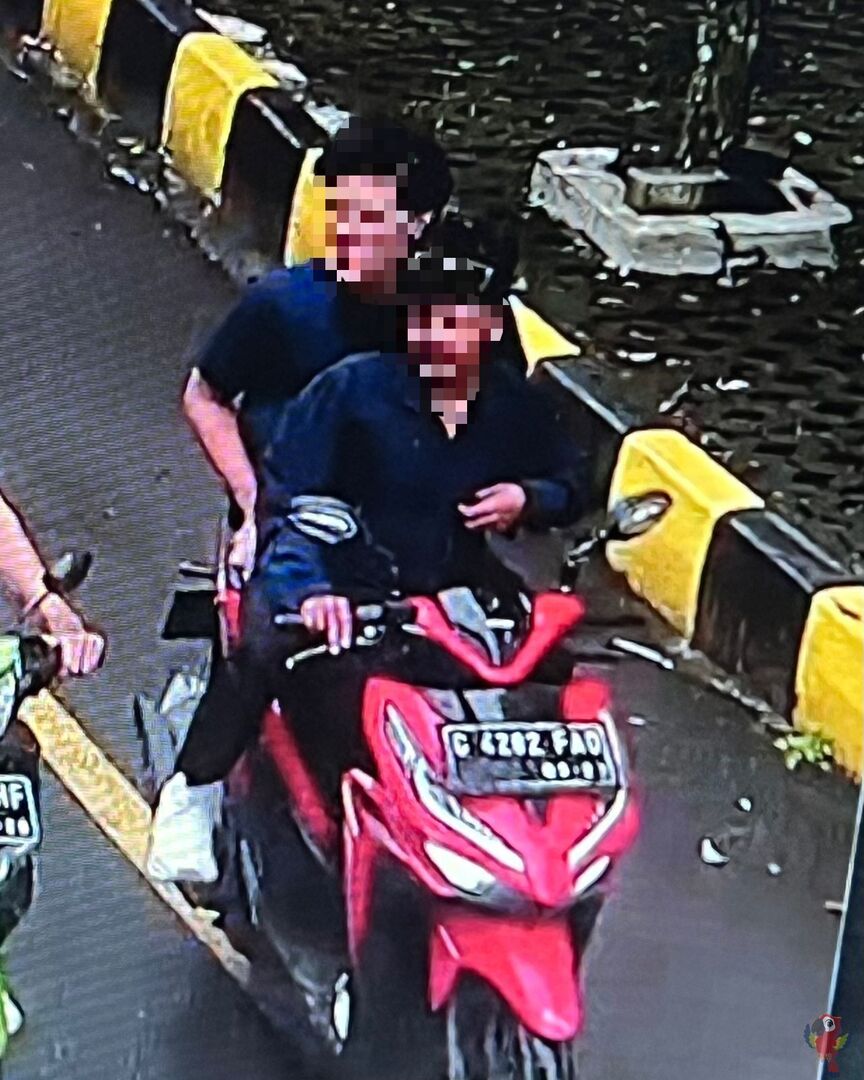 UNICEMFS tweet media