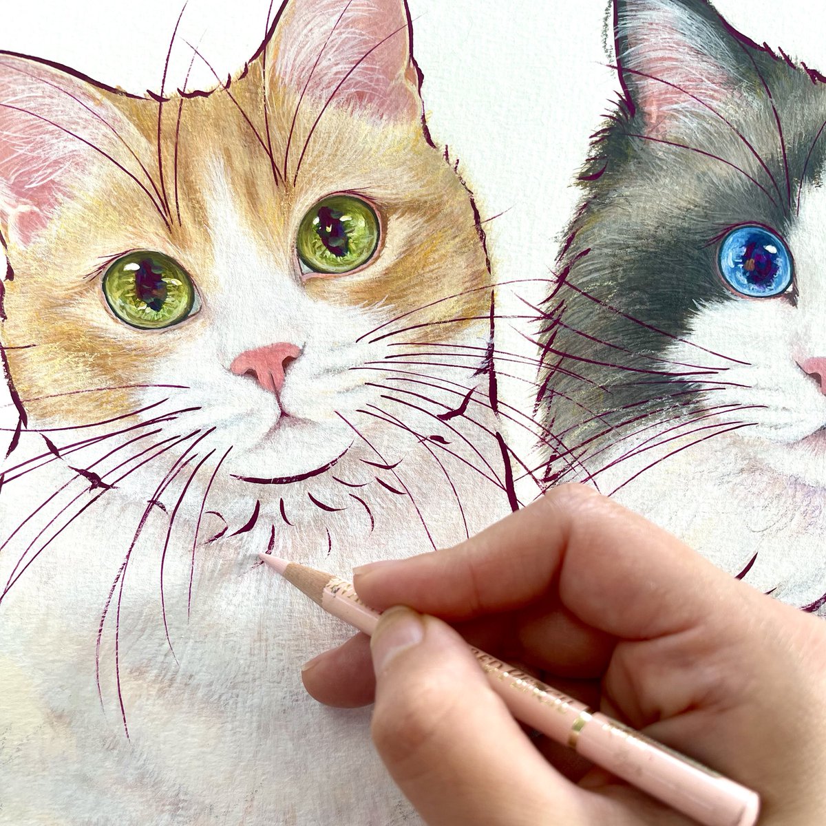 福嶋吾然有 (@AsariCats) / Posts / X