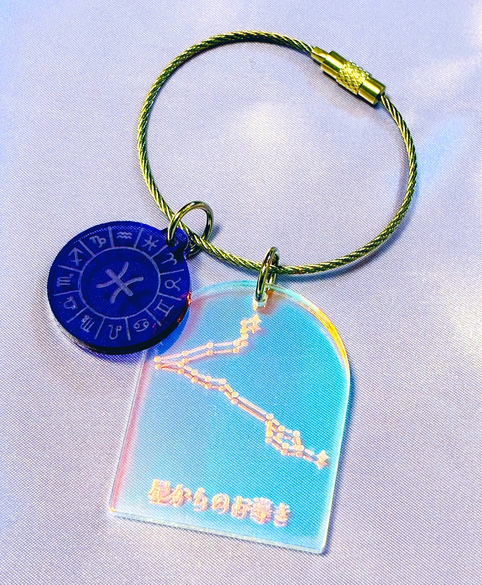 とても可愛い星座グッズを手に入れました♓︎✯