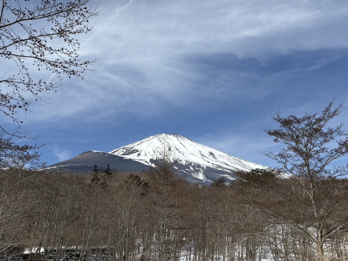 早稲田大学・大河内研究室 tweet media