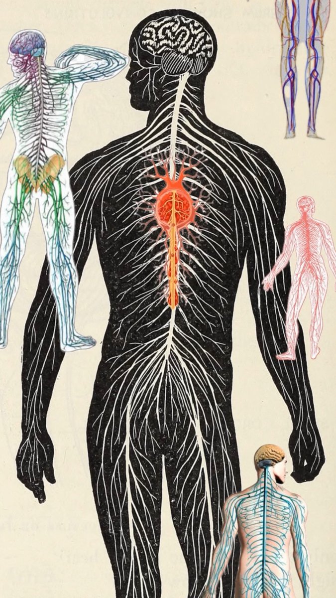 Yıpranan sinir sistemleri.