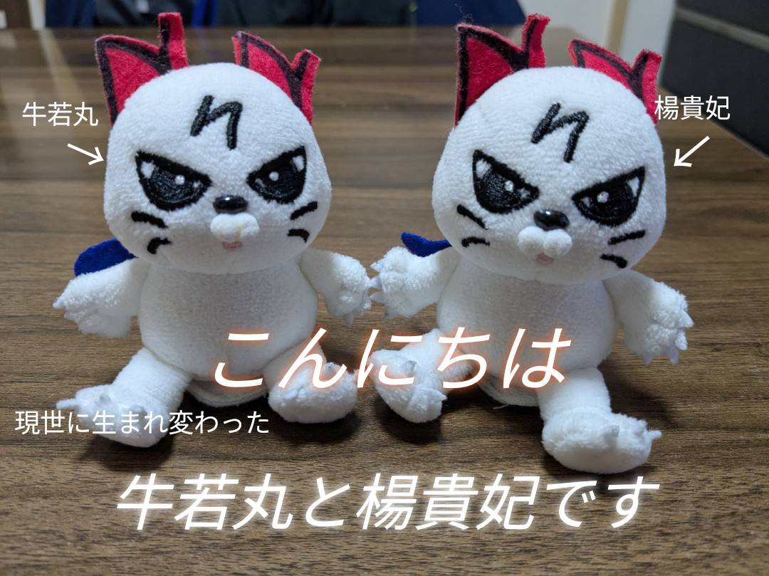 いつか大きいえぬたんに見ていただけるように、11ぴきと一緒にダンスの 