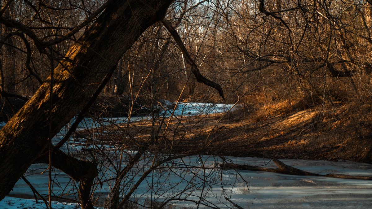 zunkinator tweet media