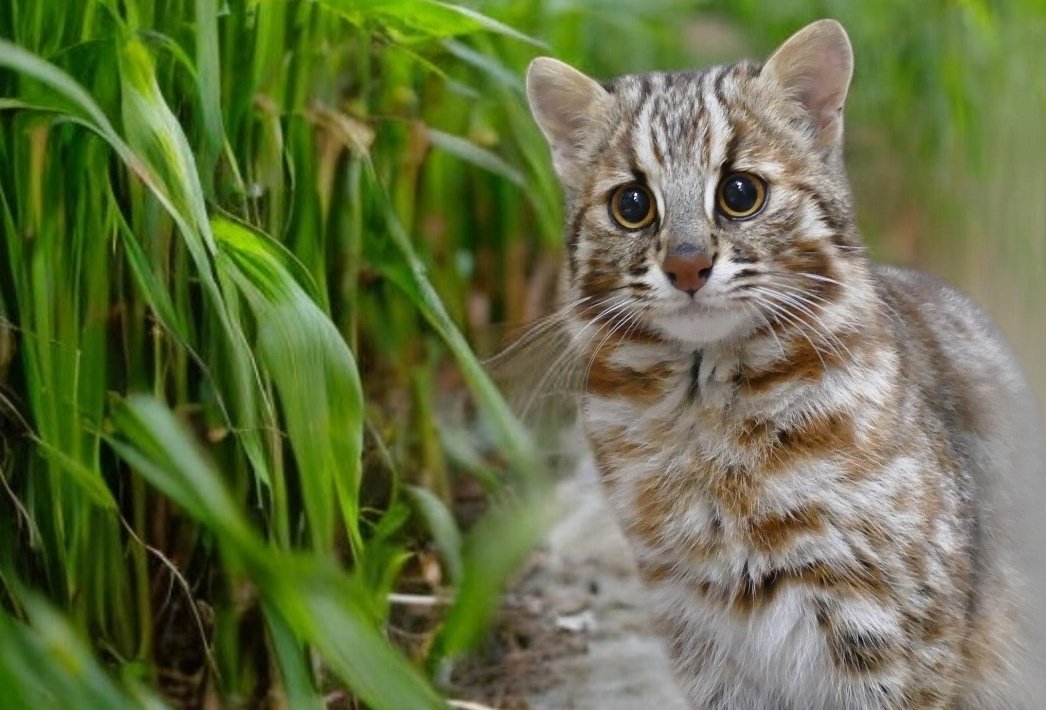 くまこ (@kumako905) / Posts / X