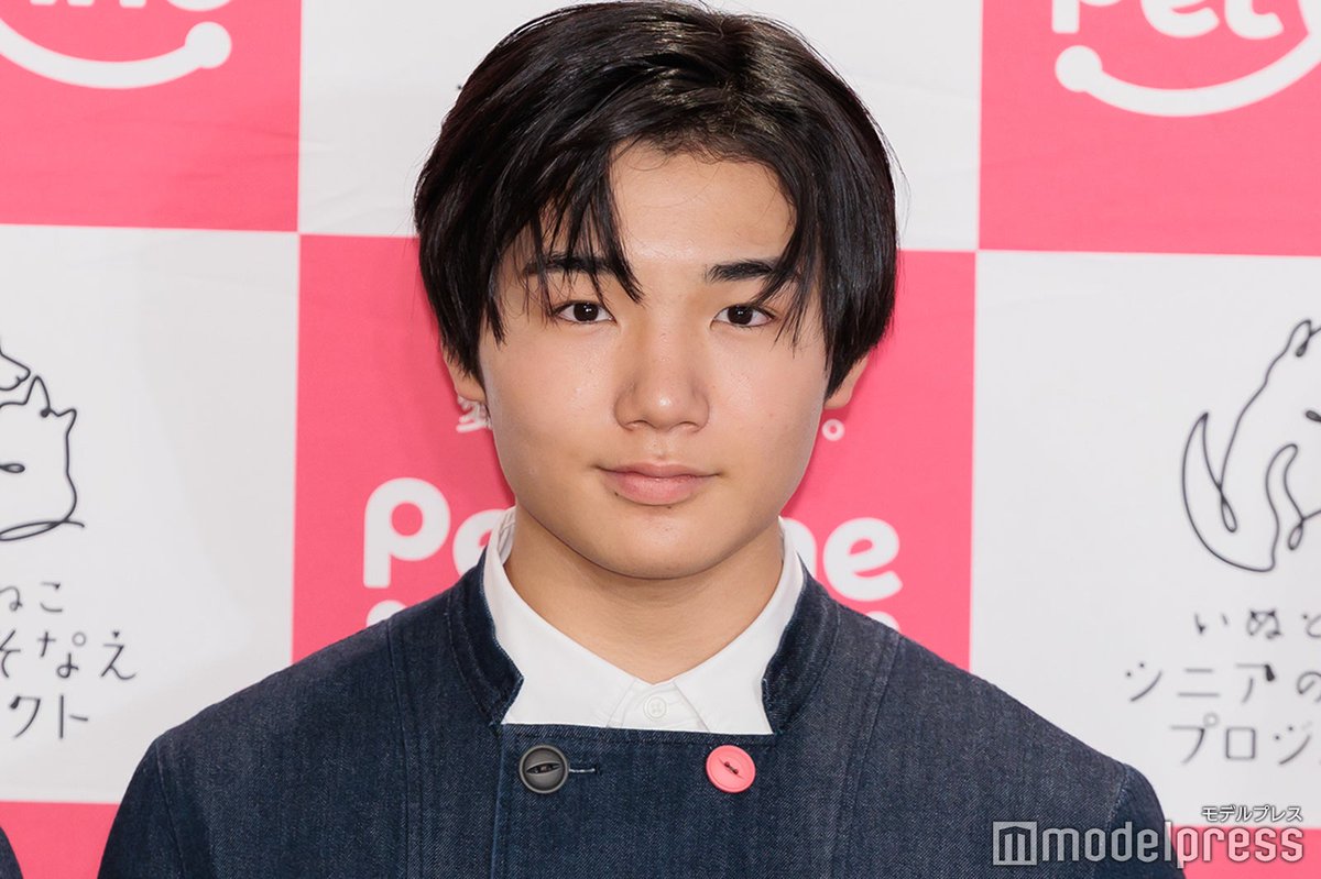 modelpress's tweet photo. 寺田心、月1老犬ホームで介助活動
18歳半で看取った愛犬への思いも
https://t.co/qMo79YfUar

「『こういうことがシニア期になってくると起きてしまうんだ』というのをあらかじめ知って心の準備をしておくべき」「知らない状態でそれが出てしまうと、どうして��『うちの子はなんで』となっちゃう」 https://t.co/fh5uO5obLM