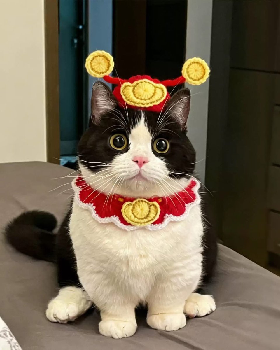 瘋哥 (@kakakafong) on Twitter photo 