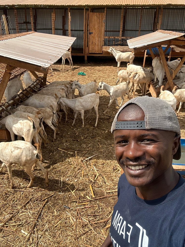 Somebody told me farmers are poor people.

-I know a farmer doing over 130,000 goats he is poor.
-In 2024 I was involved in 2000 acres farm project the poorest person.
-I visited a poultry farm from a distance you would think it’s a school producing 60,000 eggs per day that a