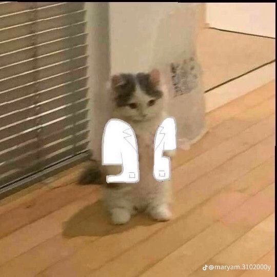 Reham🌸 tweet media