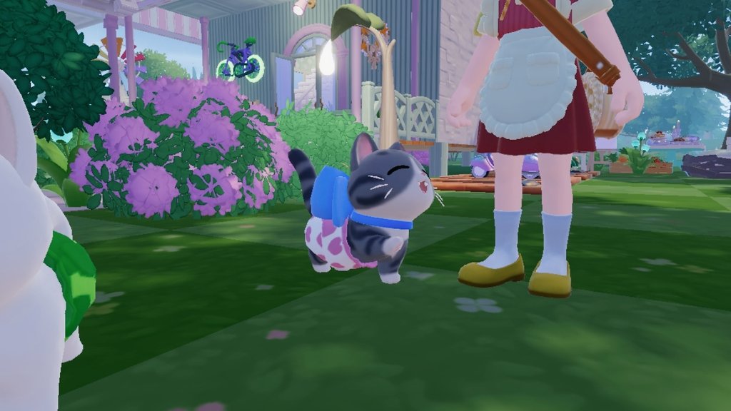 おもむろに横になるとワラワラ集まってくるのまじでかわいい