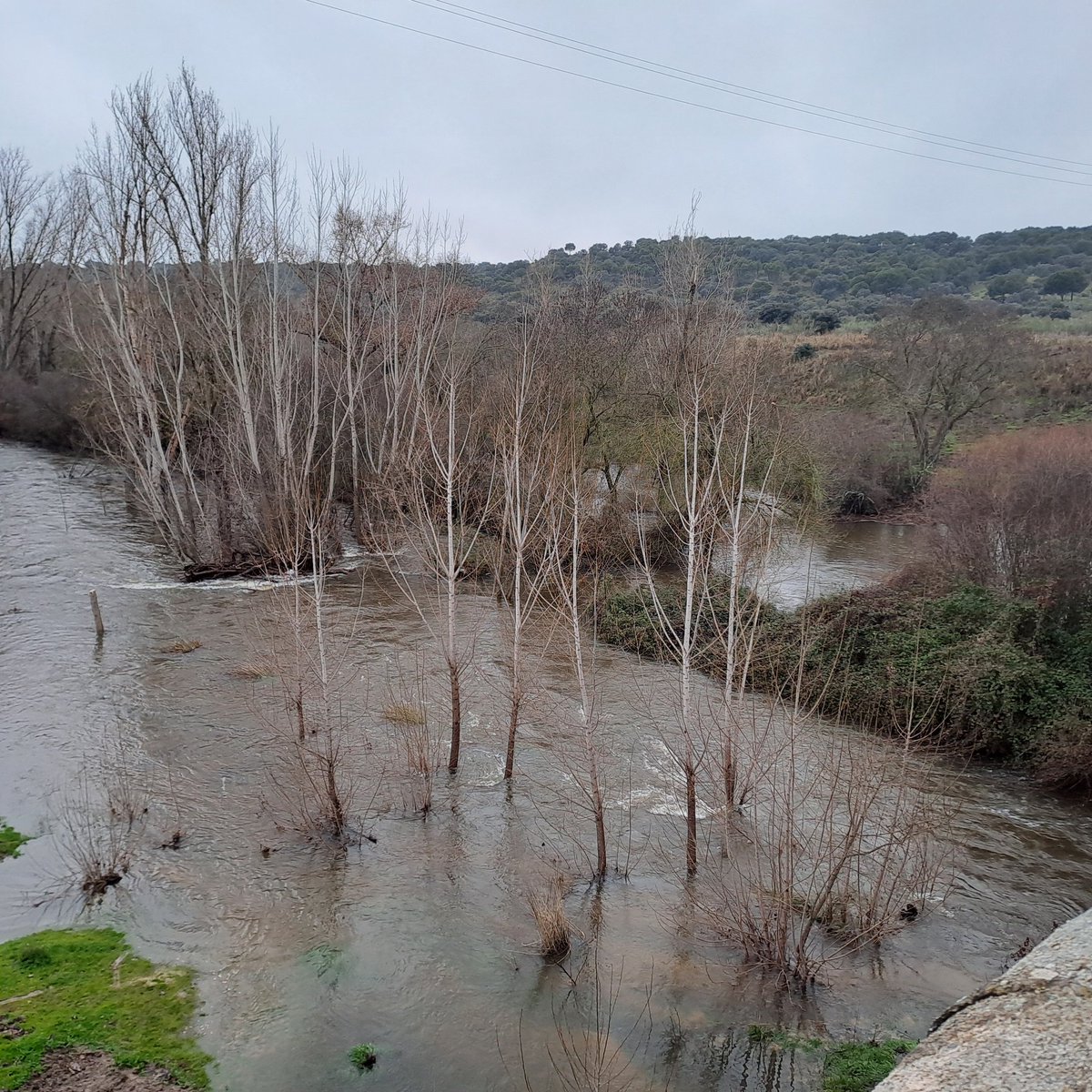 PCivil Las Rozas tweet media