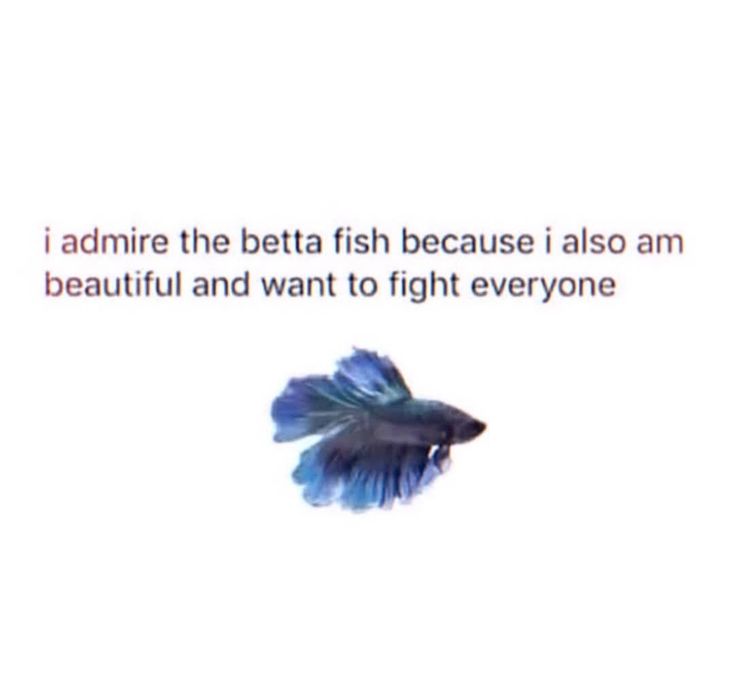 doja syd ~ follow for free readings tweet media