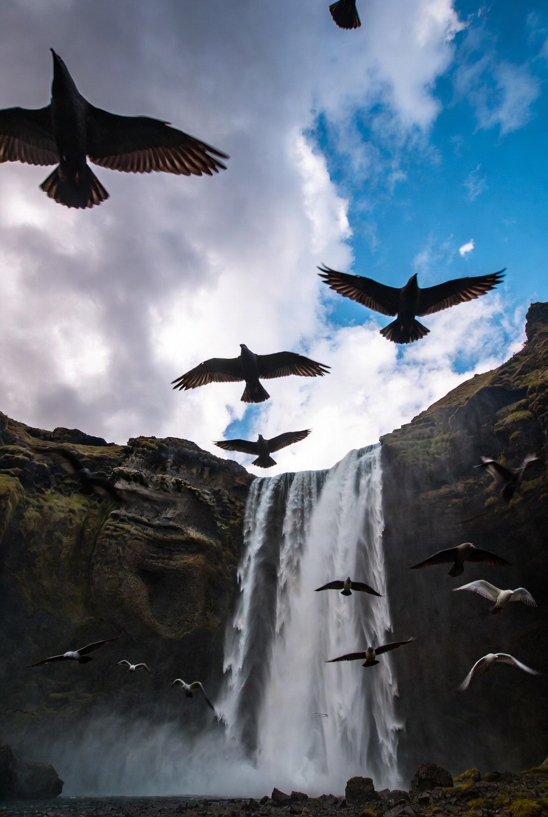 Robert Muraya tweet media