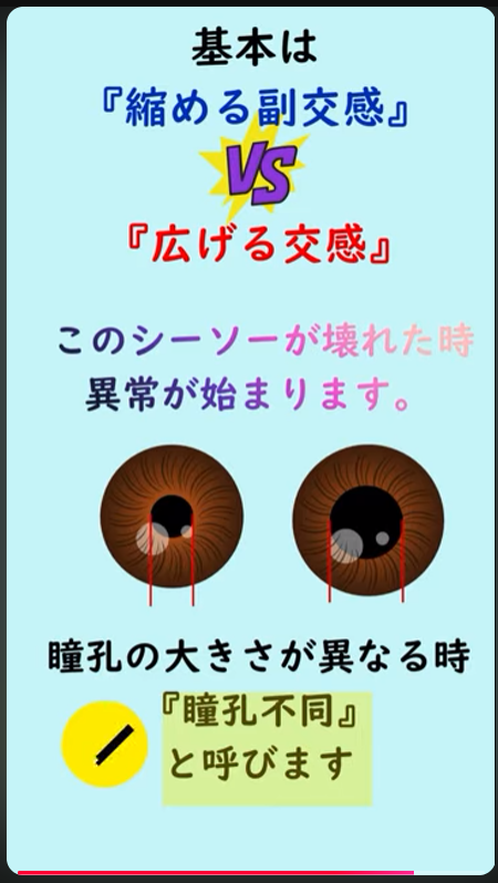 gKVfufVGag98277's tweet photo. 瞳孔径の決定 〜自律神経のシーソー〜 #視能訓練士  #certifiedorthoptist  #神経眼科 #瞳孔 #散瞳　#縮瞳 ... https://t.co/cKVcckMXJz via @YouTube 
往復電車内で一本作れるようになりました https://t.co/snhrEU5z0f
