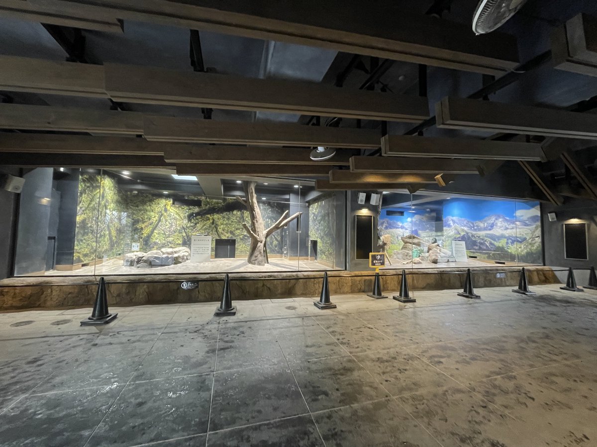 シャオレイが遊んだおもちゃ達
たくさん遊んだ跡が残ってた😭
#シャオシャオ
#レイレイ