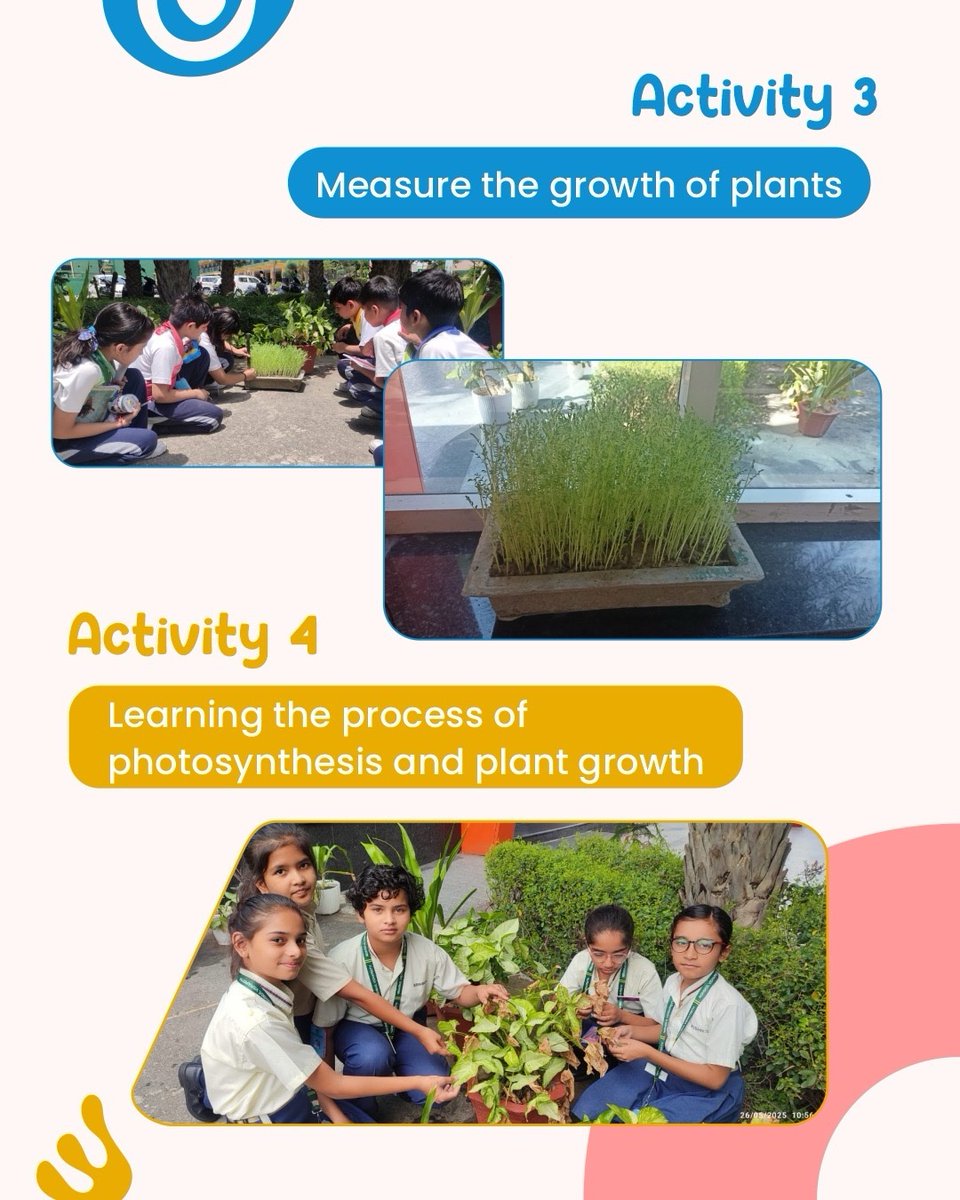 rishikulvp's tweet photo. Project Based Learning 

"Harvest to Happiness! 🌾🍴 We're thrilled to share our 'Farm to Plate' journey with you! Our students explored the magic of food from farm to table, learning about sustainability, healthy eating, and the joy of cooking. Swipe through to see the fun! https://t.co/h4EqJxkARF