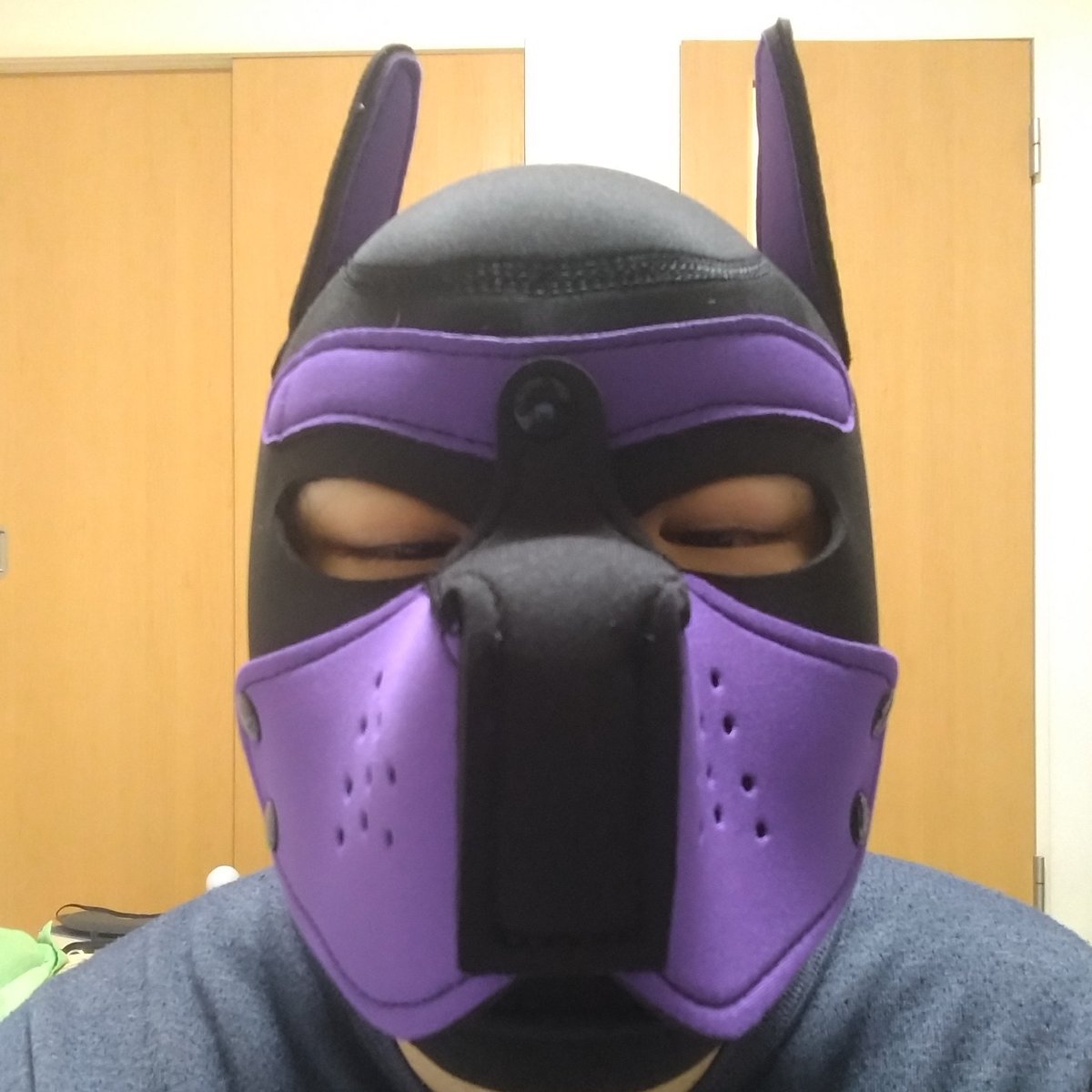 harupapi03's tweet image. ぱーぷるぱぴになりました。
よろしくおねげーします！