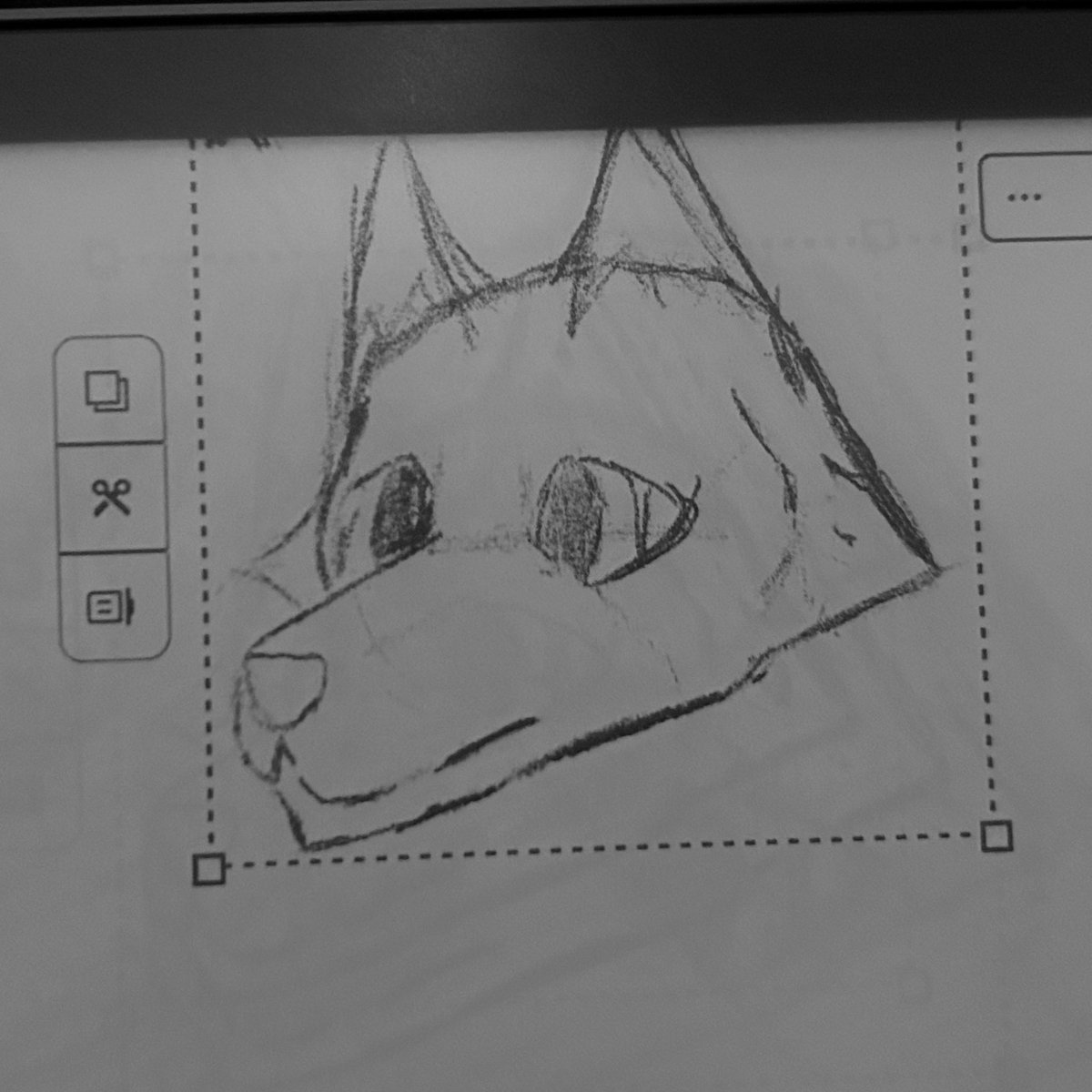 Komasong2k's tweet photo. Bruh moment #furry https://t.co/2oKZBVgAR2