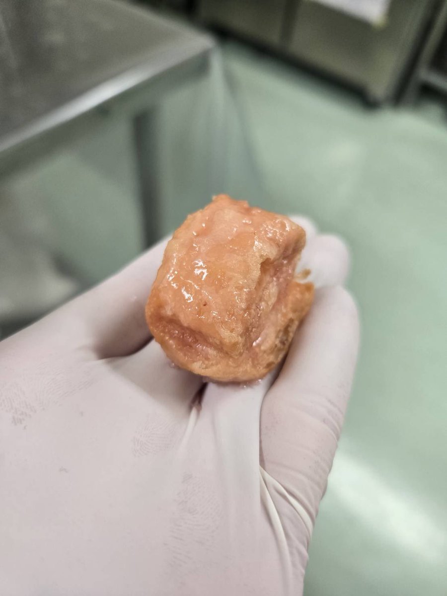 伊都きんぐ【公式】 tweet media