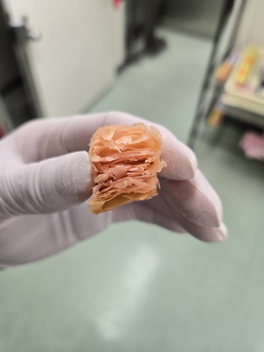 伊都きんぐ【公式】 tweet media