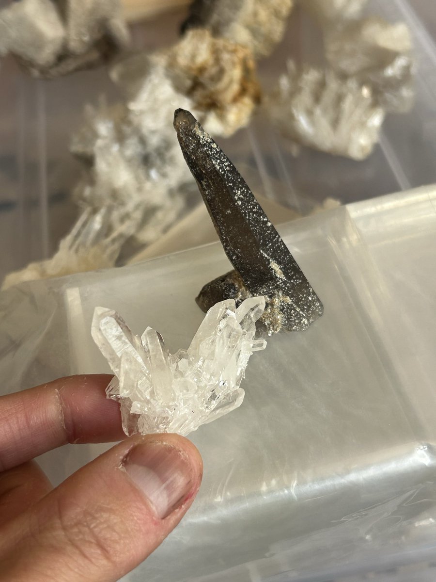 一つの地域から採集した2種類の水晶セットとか需要あるかな？🤔