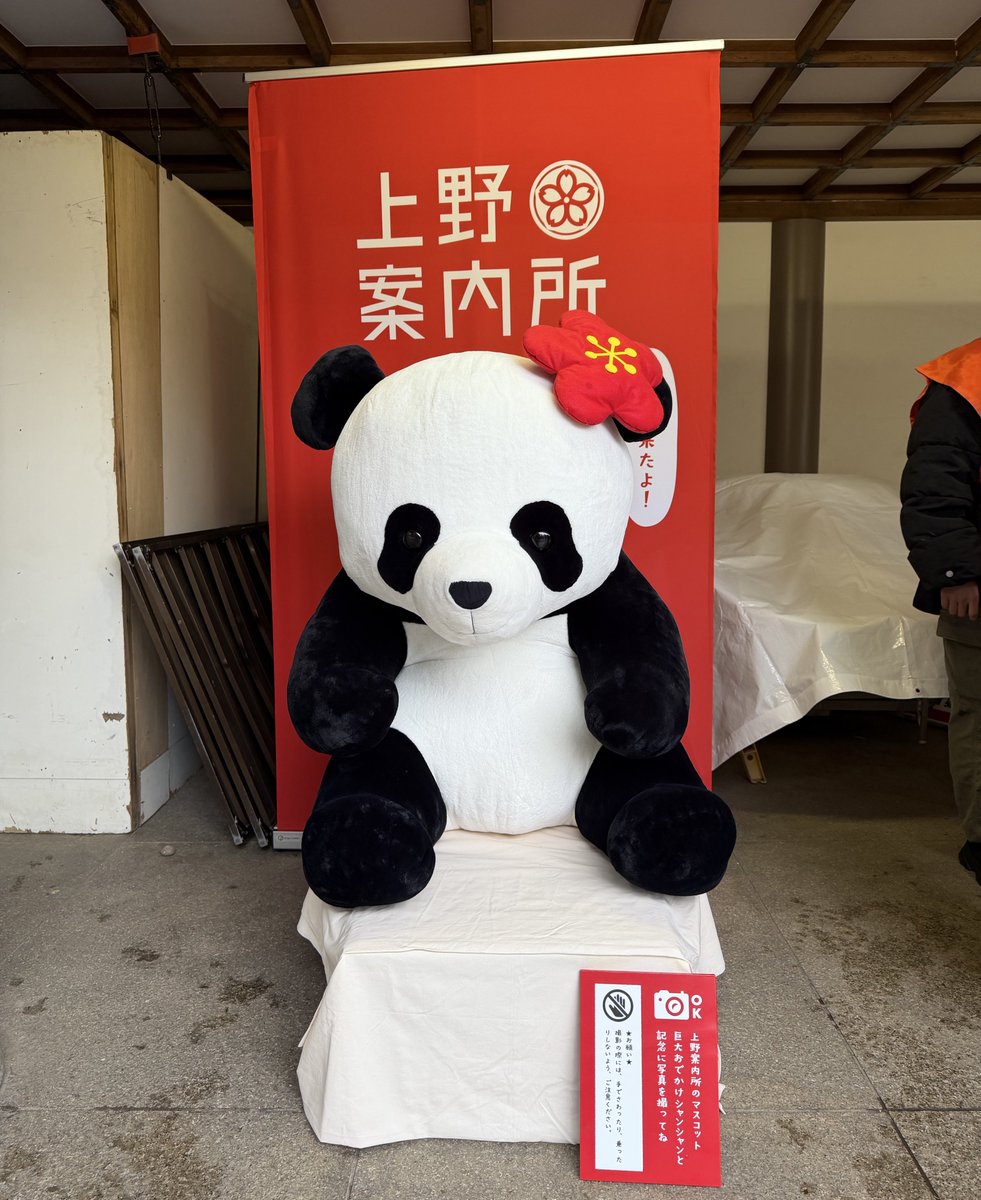 湯島天満宮に出張中のパンダちゃん可愛い😍