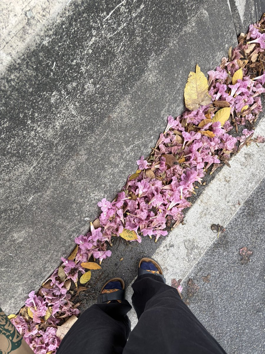 walk_wanderth's tweet image. ช่วงนี้สมาคมนักเดินจะได้เจอรางวัลสีชมพูจากการเดินๆ ด้วยล่ะ น่ารักมั่ก 🌸