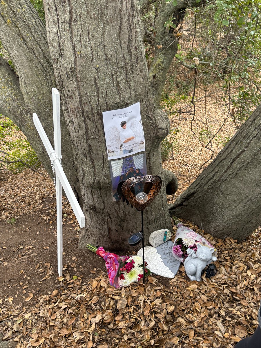 One year ago, a 21-year-old went missing in a dense and rugged section of the Cleveland National Forest in northern San Diego County. After the county’s search and rescue team stood down, his parents retained me to continue and lead the search. It took a little over 30 days, but