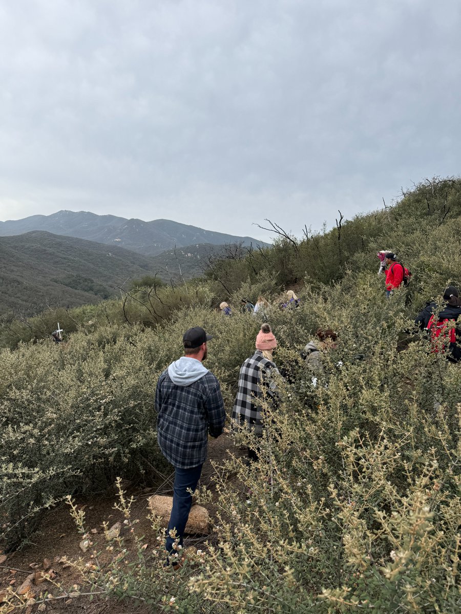 SF INVESTIGATES • STEVE FISCHER tweet media