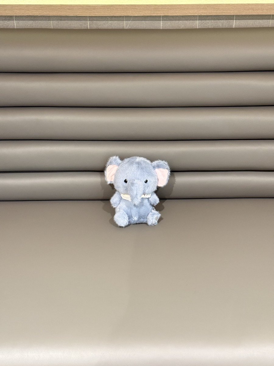 MoshiMoshiTH's tweet image. ยังเล้กอยู่มาก สุ่บเป้อบ๊อก นั่งรอพิ ๆ มารับอ้วมไปเลี้ยง อีกนิดก็จะโตแล้วคับ 🐘🤏🏻💕