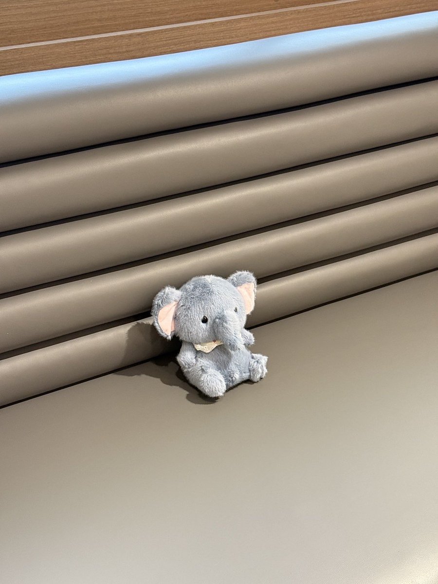 MoshiMoshiTH's tweet image. ยังเล้กอยู่มาก สุ่บเป้อบ๊อก นั่งรอพิ ๆ มารับอ้วมไปเลี้ยง อีกนิดก็จะโตแล้วคับ 🐘🤏🏻💕