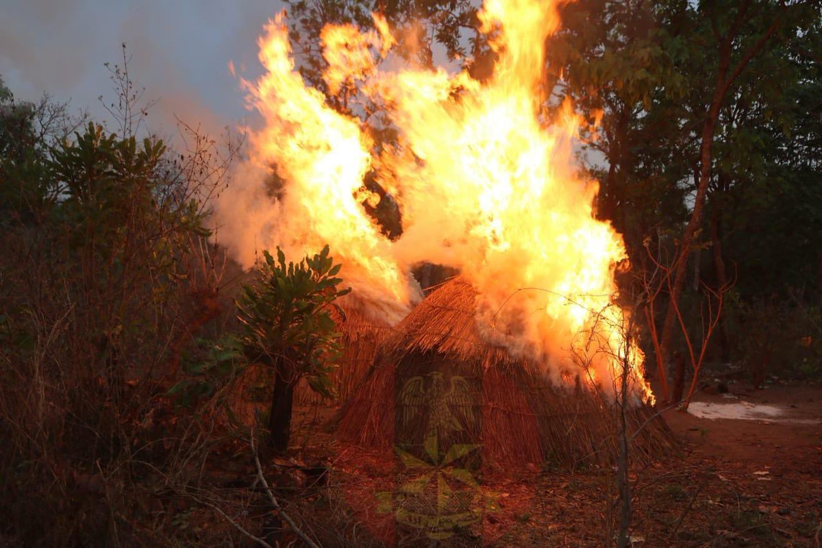 Nigerian Army tweet media