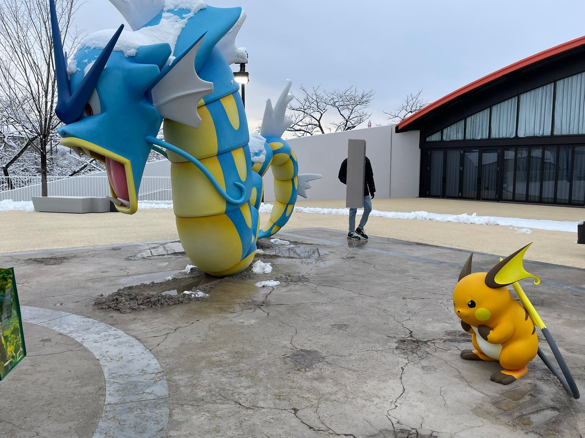 ライチュウのおしり。ピカチュウ進化系シリーズの全てのカッコ良さと