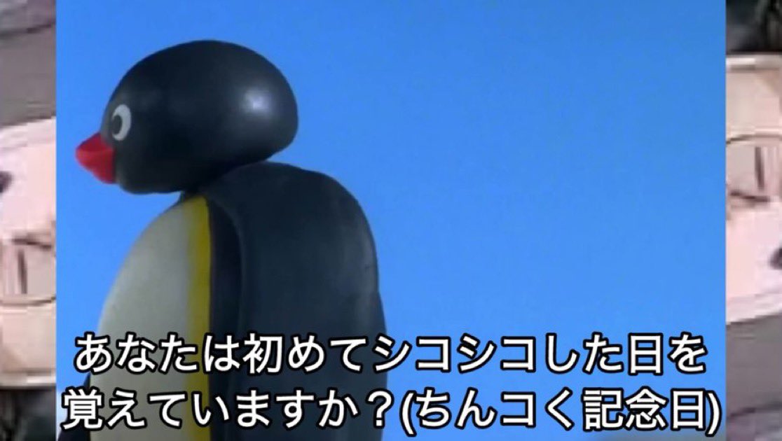 ブルーアーカイブピングーbot (@pingu_archive) on Twitter photo 