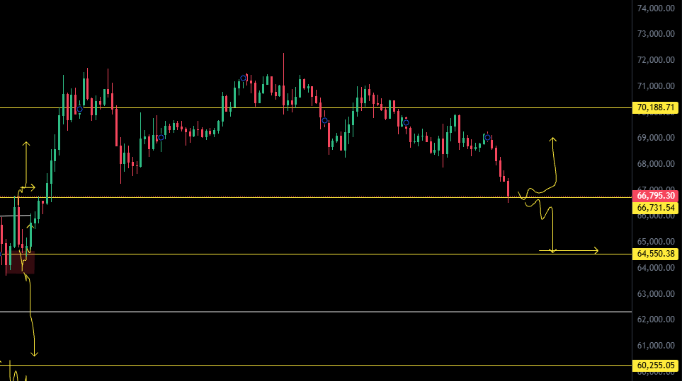 SaQiiCrypto's tweet photo. #btc below 67k again https://t.co/rufaC16Kuz