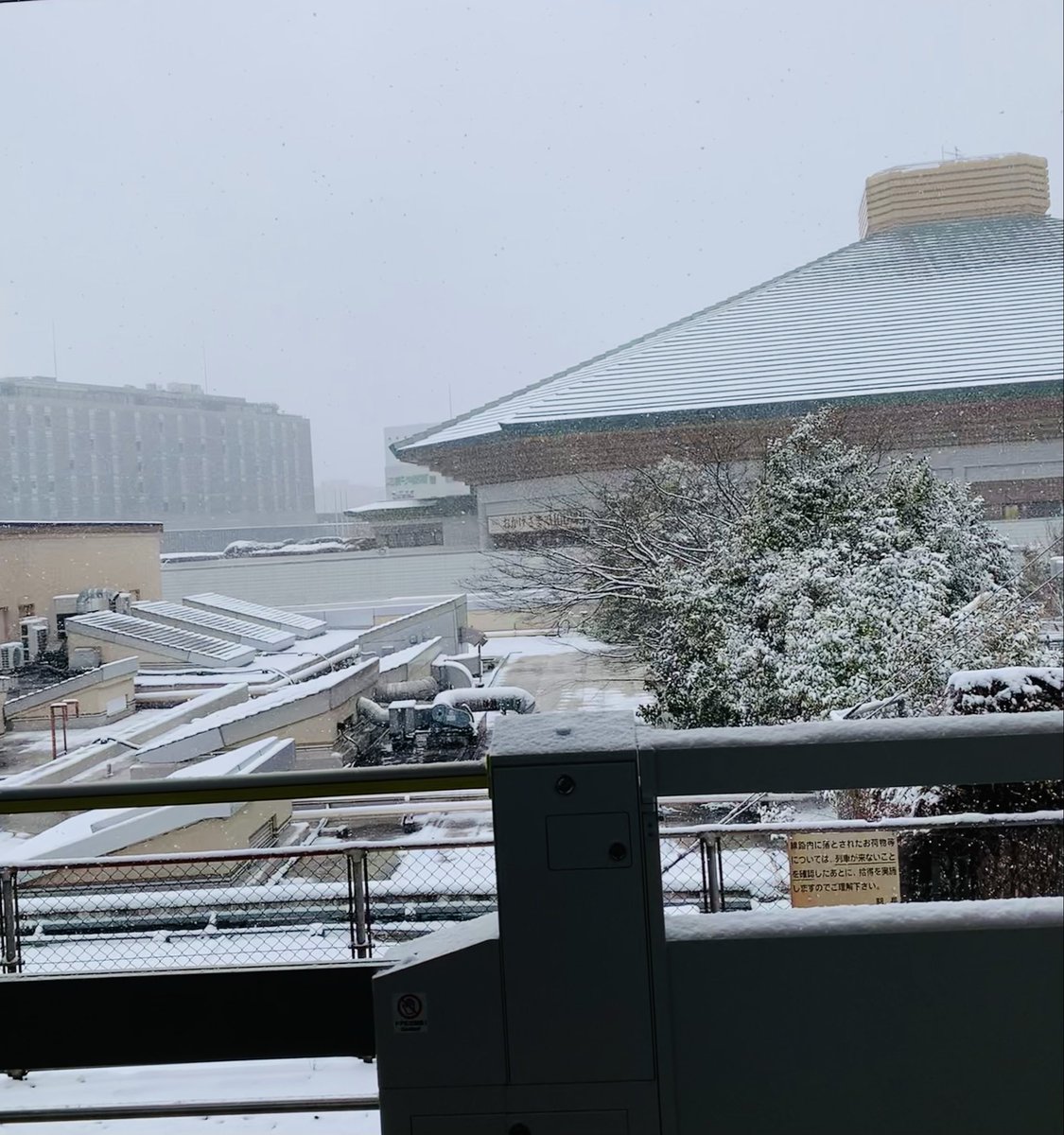 REHA_LAB_JUN's tweet photo. ☃️先週末の雪✈️一か八かで🗼東京研修へ✏️★結果は、、➡️無事帰山できました😮‍💨

🌃土曜の東京は夜中迄😳雪は大丈夫でした🙆🏻‍♂️ただ日曜の朝🏨一面雪化粧の両国国技館❄️

🚃羽田では📣連続する遅延のアナウンス💦岩国は全便欠航🙀最悪の展開が脳裏をよぎるも３時間遅れで帰れました🙌🏻
#山口県#リハラボ山口 https://t.co/gkslLCbHBr