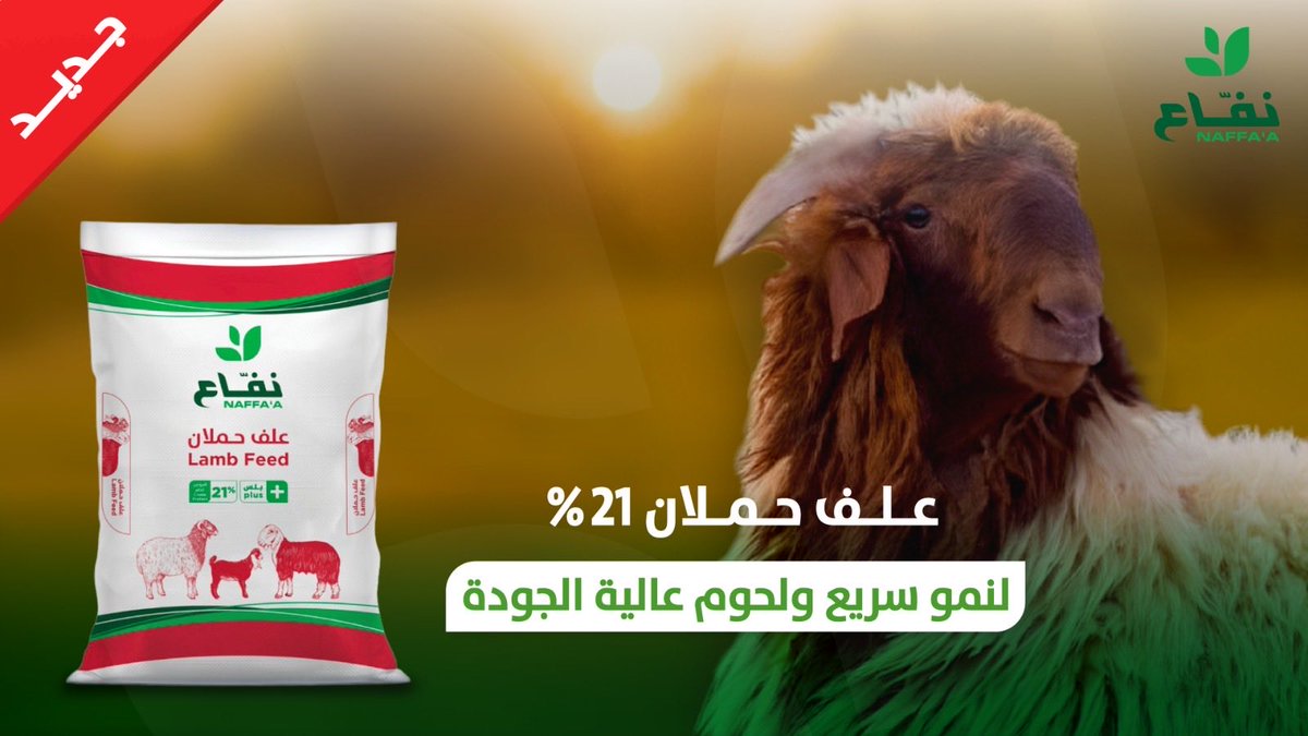 NaffaaFM's tweet photo. علف حملان %21 بلس الجديد .. لنتائج نمو ممتازة ولحوم مميزة جربه اليوم وخلّك تشوف الفرق بنفسك
#انفع_حلالك_ينفعك https://t.co/bQ1MSZdbtg