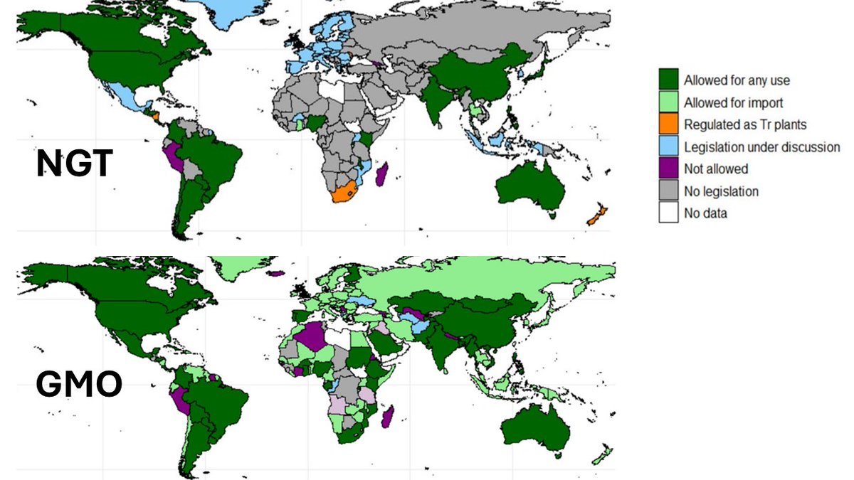 knut g. berdal tweet media