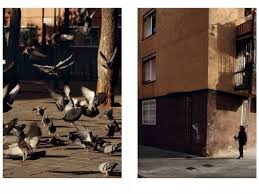 Fotoconnexió tweet media